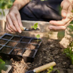 Create a Permaculture Garden – Step By Step