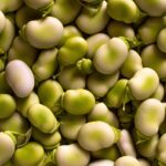 Καλλιέργεια Δημητριακών μαζί με Όσπρια - Ένα πιο Ανθεκτικό Σύστημα