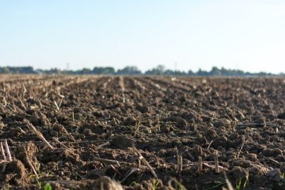 Co to jest zakwaszenie gleby i jakie są jego przyczyny?