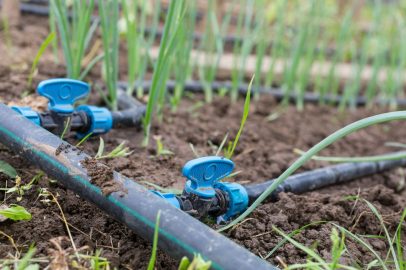 Components and types of drip irrigation