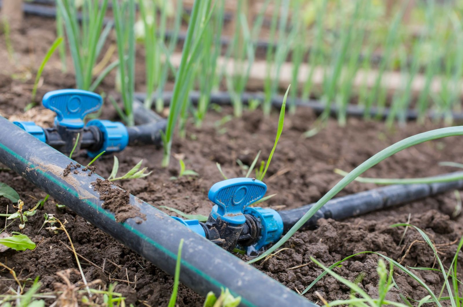 drip irrigation systems