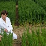 Epigenetics for crop improvement