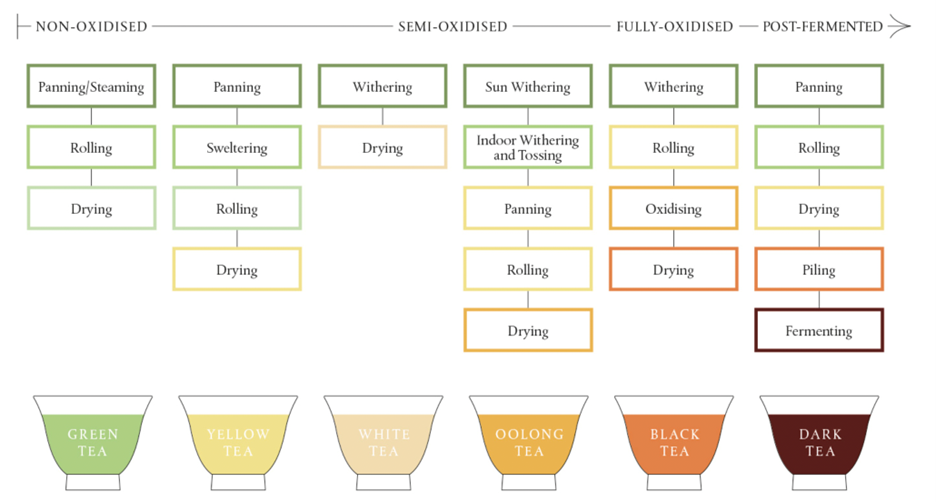 Six basic tea processing processes