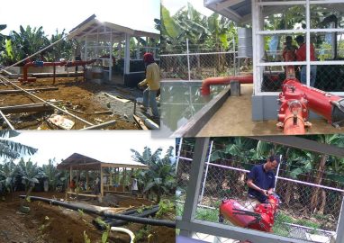 Banana Water Requirements & Irrigation Systems