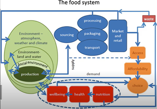 the food system -Climate-smart agriculture