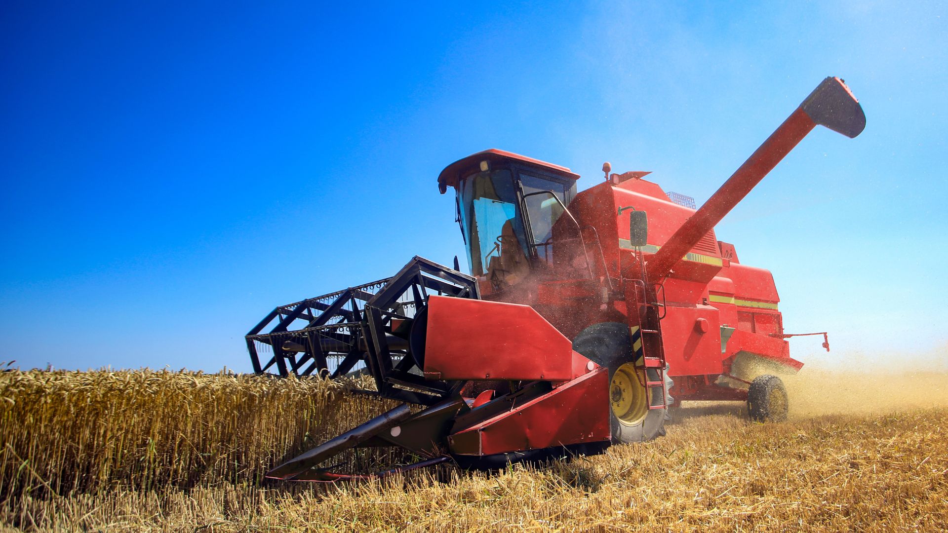 Technology empowers any farmer to trade grain globally