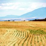 Crédits carbone et pratiques agricoles durables - une vue d'ensemble