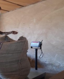 Ernte, Umgang und Lagerung von Kakao