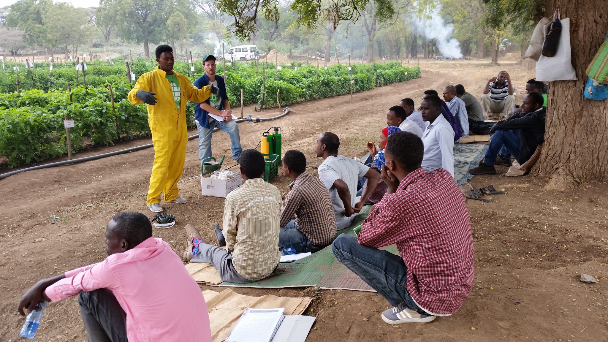 Guidelines for safe and effective use of chemicals in agriculture for crop protection