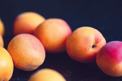 variétés d'abricots