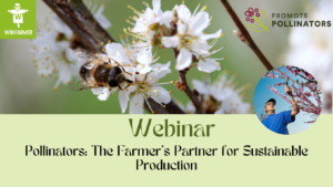 Pollinators: Farmer's Partner for Sustainable Production