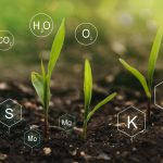 what is sustainable nutrient management