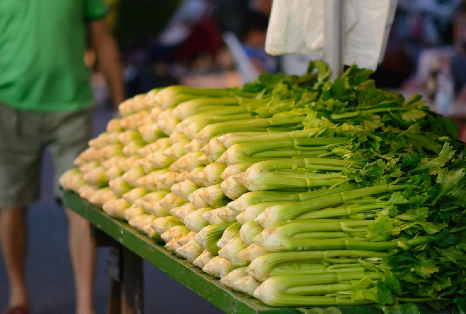 Celery Harvest and Yields per Hectare Wikifarmer