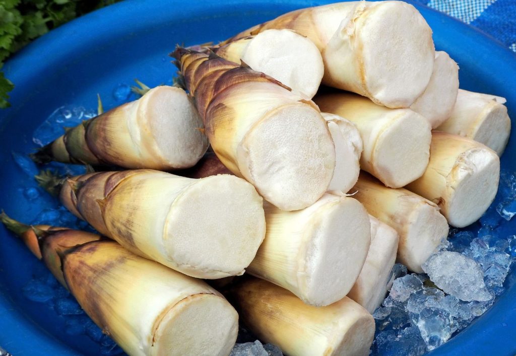 Pousse de bambou - Combien de calories pour 100g ?