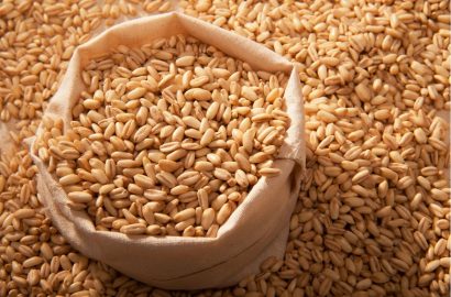 Posibles riesgos para la seguridad alimentaria en los cereales