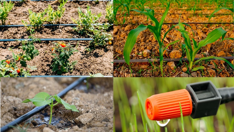 Types de systèmes d'irrigation
