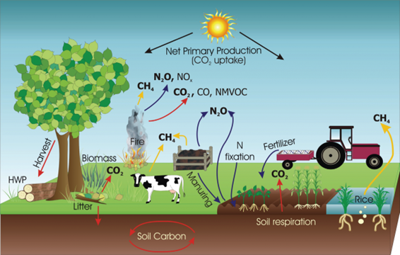 Agricultura de Carbono – Uma Visão Geral