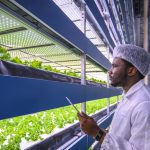 Best Practices for Successful Hydroponics and Crop Circle Farming