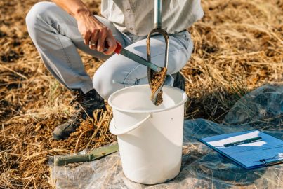 How to take a soil sample for nutrient analysis