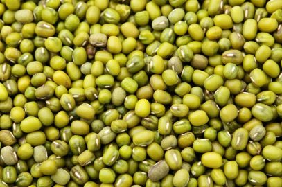 Mung Bean Plant Information, Uses, Nutritional Value and Health Venefits