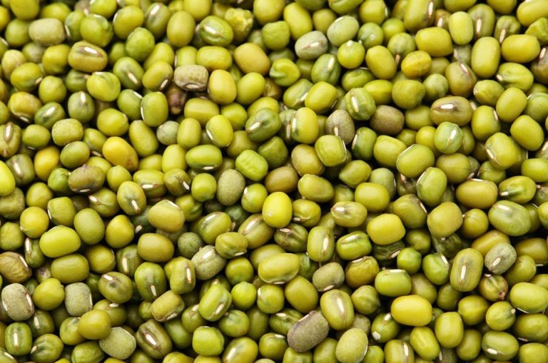 Mung Bean: Plant Information, Uses, Nutritional Value And Health ...