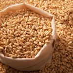 Riscos Potenciais de Segurança Alimentar em Cereais