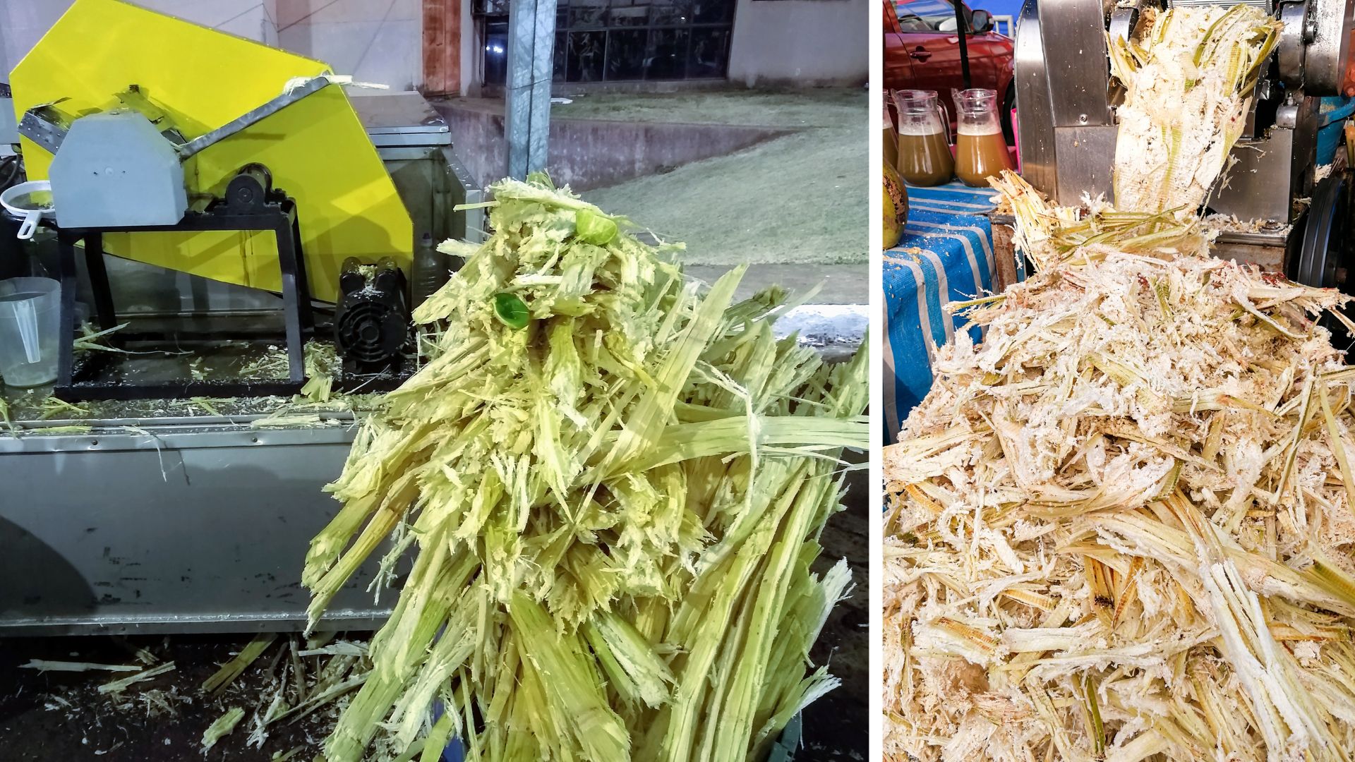 Sustainable Use of Bagasse Harnessing the Potential of Sugarcane Waste