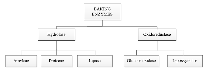 single enzymes used in bakery