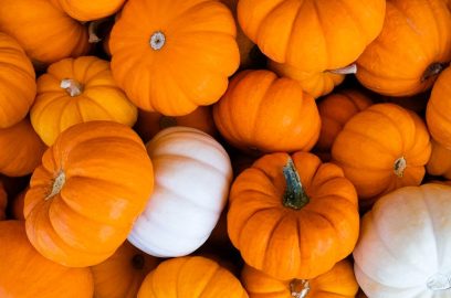 pumpkins facts