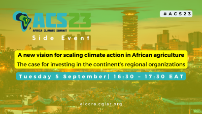 A new vision for scaling climate action in African agriculture: The case for investing in the continent’s regional organizations
