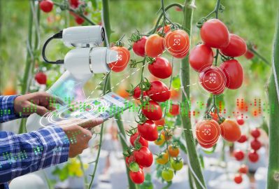 Automation in harvesting and processing of hydroponic crops