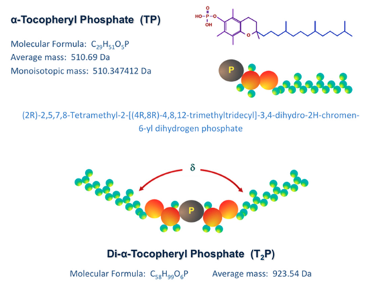 nanotechnology in food science