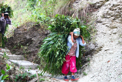 Soil Carbon Sequestration & Rural Women's Impact