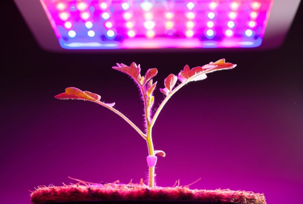technologies used in hydroponics