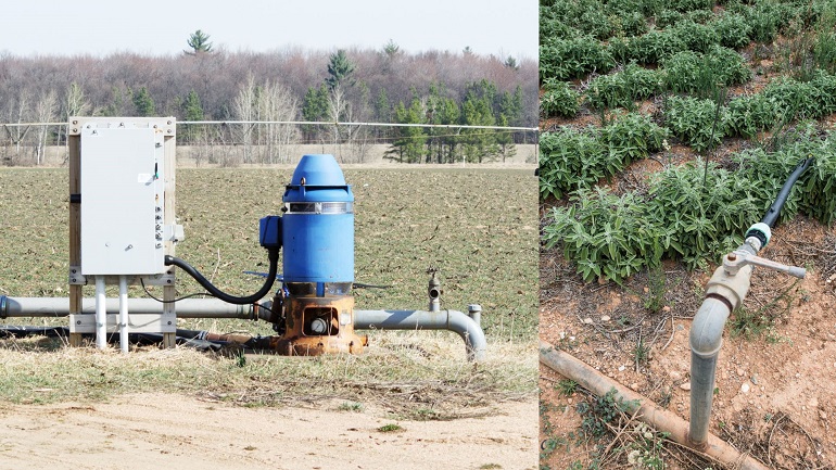 Bewässerungsmanagement - Wie man die Effizienz der Bewässerung optimiert