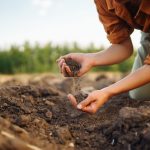 Bio-based fertilizers as a sustainable alternatives of synthetic fertilizers