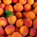 Nährwert, gesundheitliche Vorteile, Verwendungsmöglichkeiten und interessante Fakten über die Aprikose