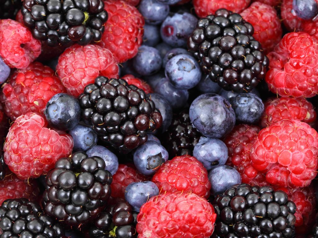 Natürliche Antioxidantien: Herkunft, Nutzen und Anwendungen