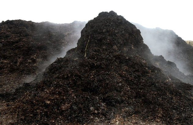 Compost of animal and vegetal waste, treated with decomposing microbes