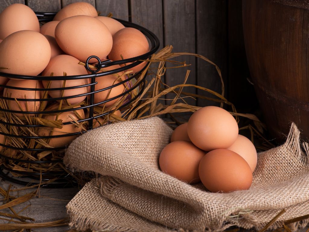 What affects the quality and size of the eggs?