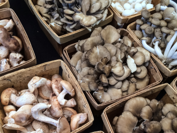 mushrooms nutritional value