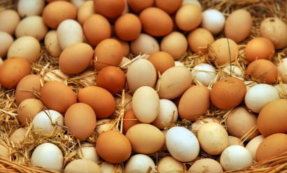 Είδη αυγών πουλερικών