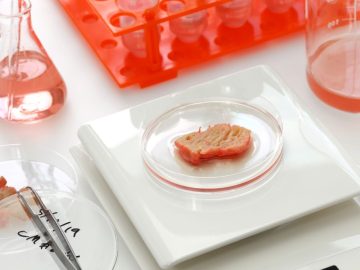 κυτταροκαλλιεργούμενο κρέας