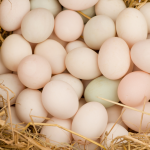Huevos Valor nutricional y beneficios para la salud