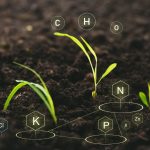 Nutrient Mobility in Soil and Plants