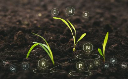 Nutrient Mobility in Soil and Plants