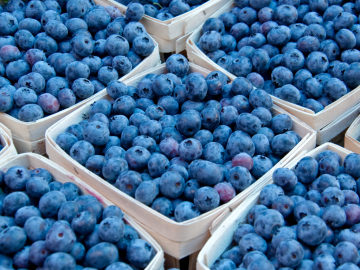 blueberries nutritional value
