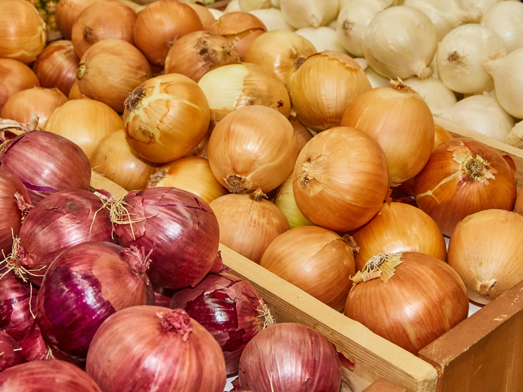 Indian Shallot Information and Facts