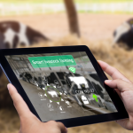 Viehzucht - Agrartechnologien zur Verbesserung der Nachhaltigkeit