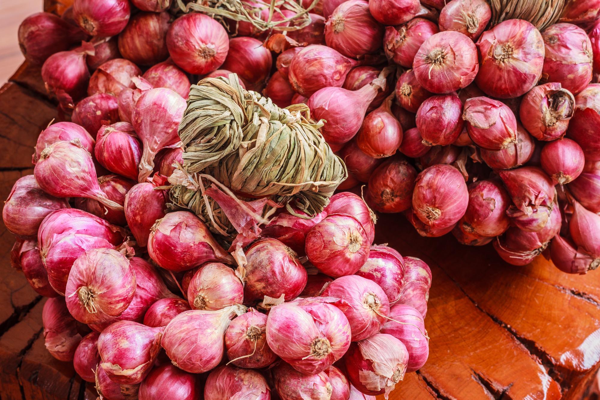 Indian Shallot Information and Facts